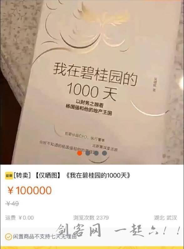 我在碧桂园的1000天绝版书