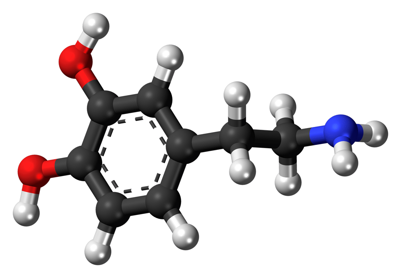 【每日一知】多巴胺dopamine